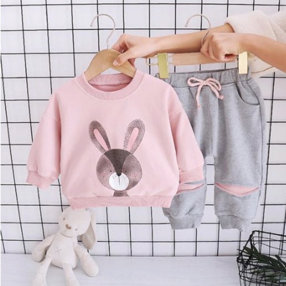 Boutique Other - Toddler Girl Rabbit Bunny Pink/Gray 2pc Outfit  Set 2/3 & 3/4
